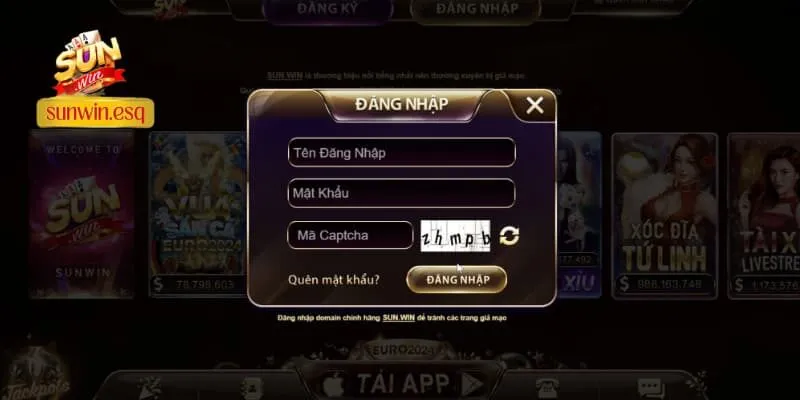 Anh em điền thông tin theo yêu cầu để đăng nhập vào Sunwin